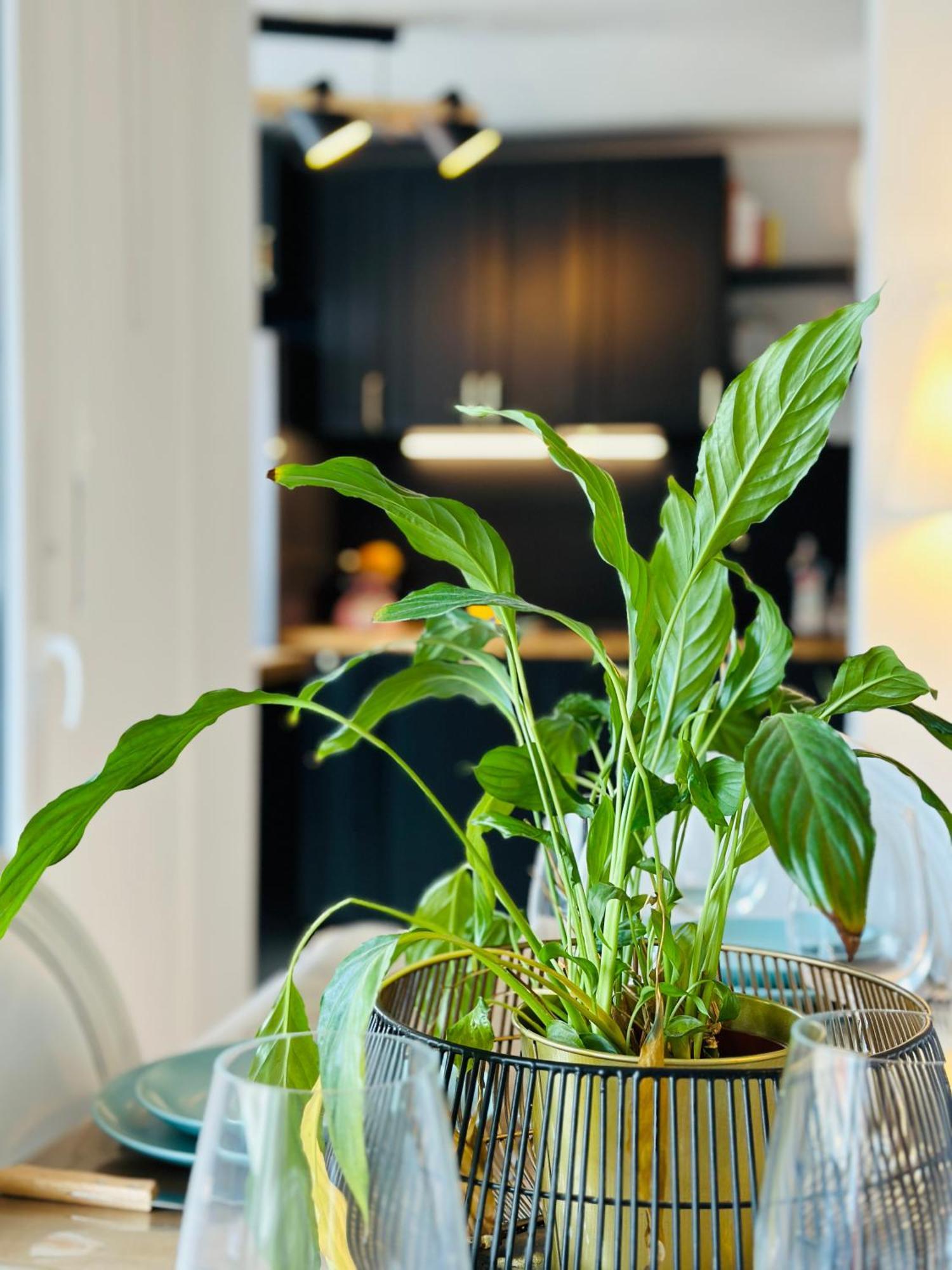 Le Vintage Appartement Tours Buitenkant foto